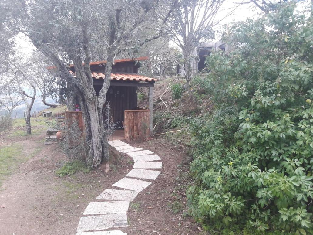 Cabana Da Oliveira Marco de Canavezes Extérieur photo