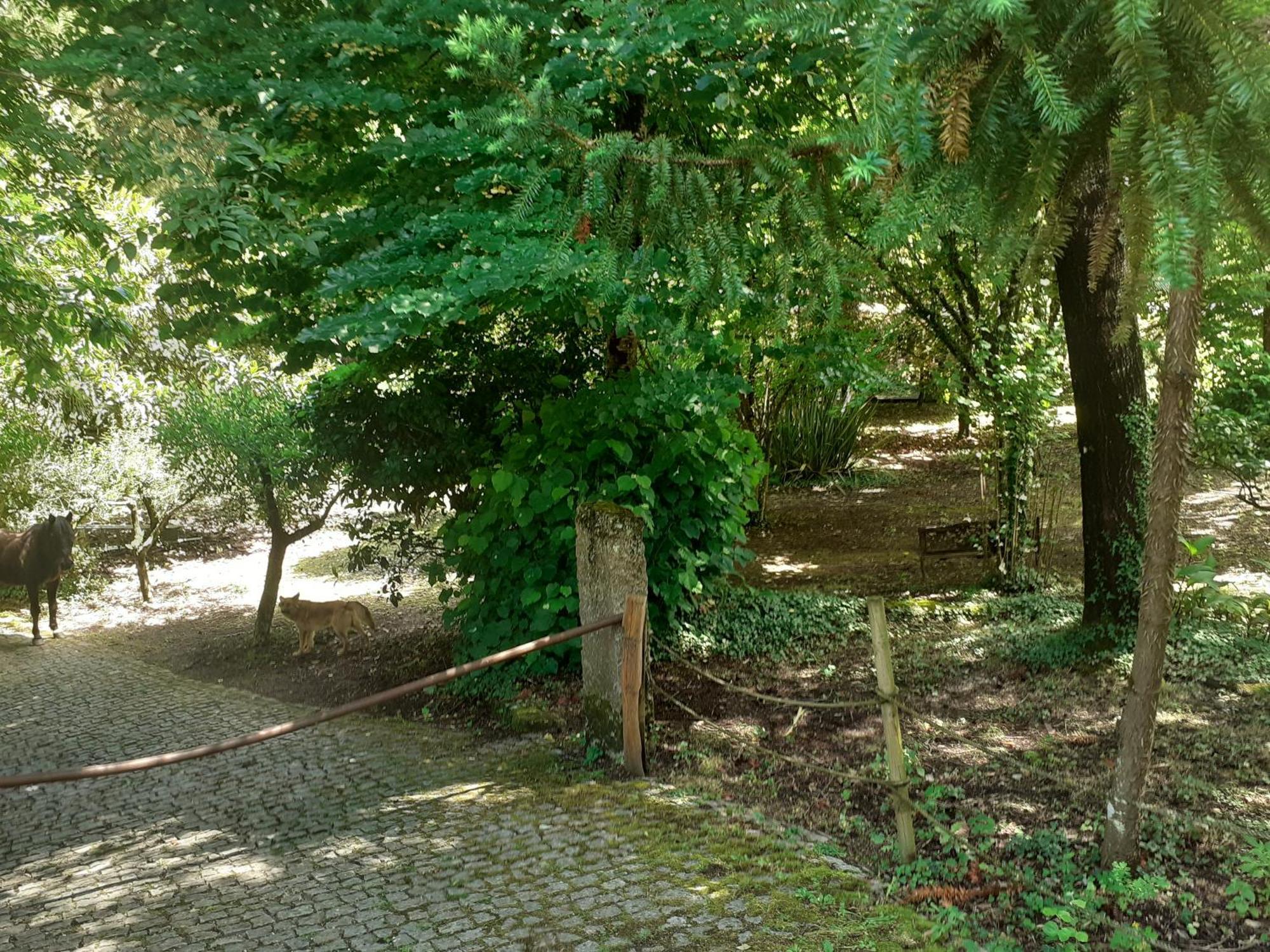 Cabana Da Oliveira Marco de Canavezes Extérieur photo